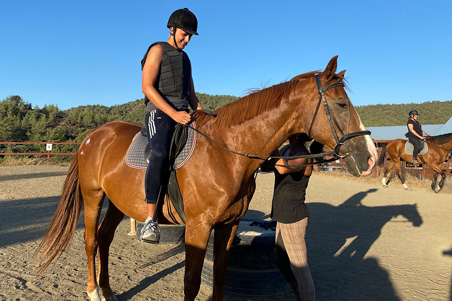 Photo of a horse called Albie