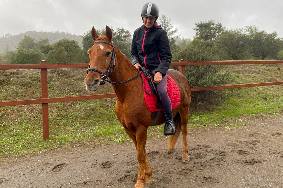 Photo of a horse called Tequila