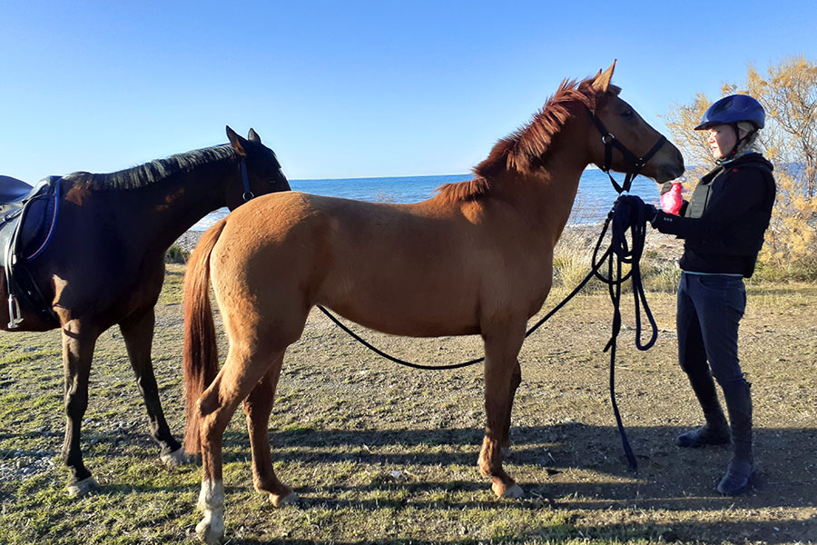 Photo of people riding horses