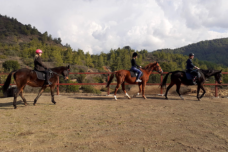 Photo of people riding horses
