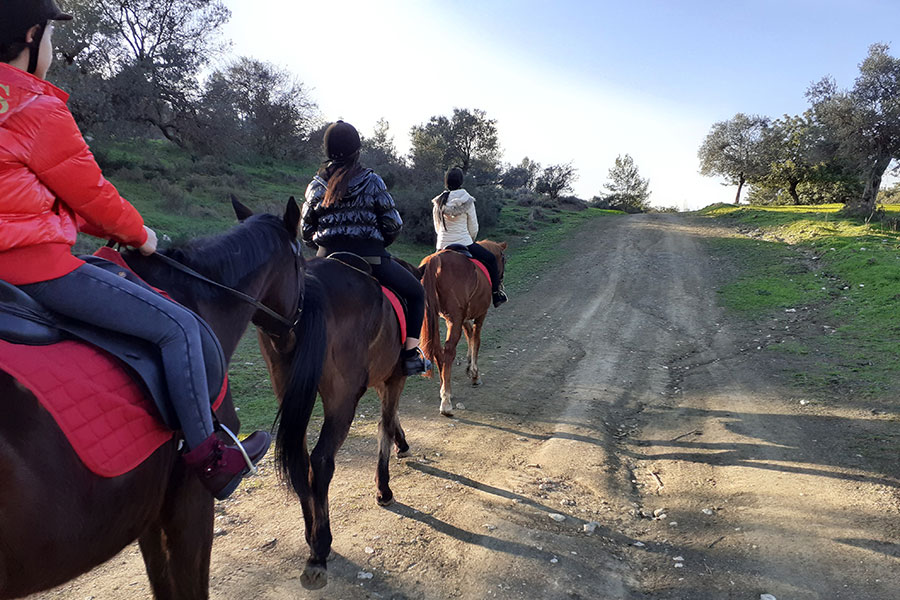 Photo of people riding horses