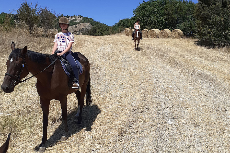 Photo of people riding horses