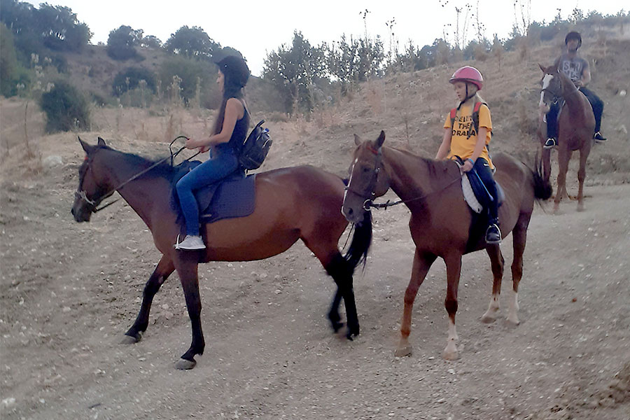 Photo of people riding horses